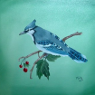 bluejay