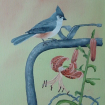 Titmouse