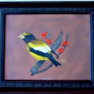 grosbeak1