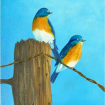 twoeasternbluebird